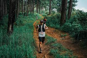 BIB: 
                            <button type="button" onclick="openModal(25659832)" class="btn btn-primary btn-sm float-right btn-popup" data-toggle="modal" data-target=".modal-high-quality">
                        <i class="fas fa-shopping-cart"></i> Add to Cart
                    </button>
                                            <button type="button" onclick="isThisMe(25659832, true)" class="btn btn-success btn-sm float-right btn-popup btn-isme hidden" data-toggle="tooltip" data-placement="bottom" title="นี่คือรูปของคุณใช่ไหม คลิกที่นี่เพื่อเอาเข้าอัลบั้ม">
                        <i class="fas fa-plus"></i> Add to album
                    </button>
                    <button type="button" onclick="isThisMe(25659832, false)" class="btn btn-warning btn-sm float-right btn-popup btn-isnotme hidden">
                        <i class="fas fa-ban"></i> Remove from album
                    </button>